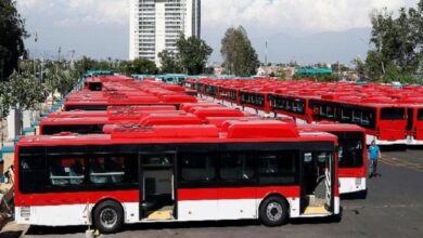 Low Floor Electric Buses