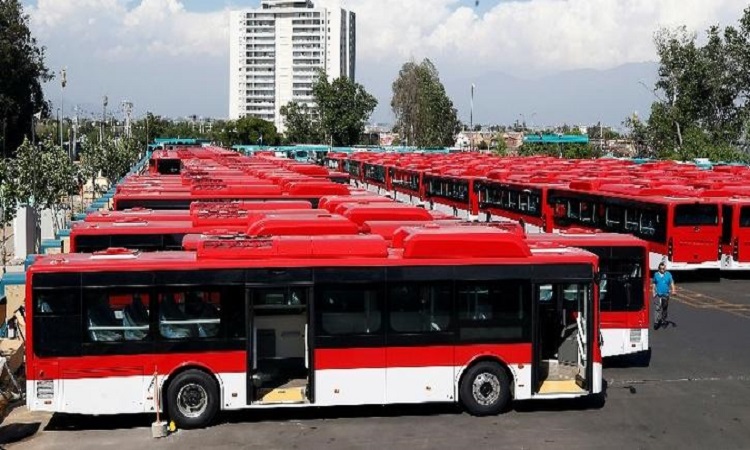 Low Floor Electric Buses