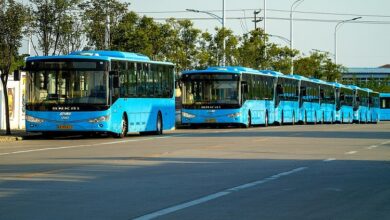 electric buses