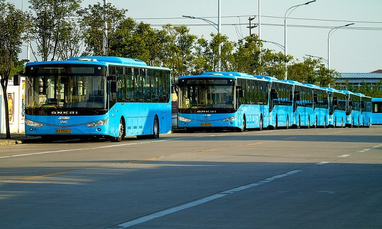 electric buses