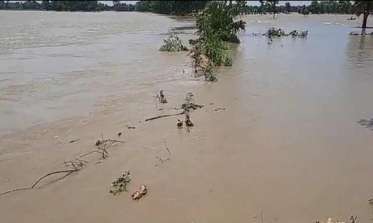 Bihar Flood