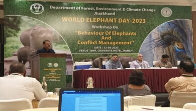 world elephant day 2023