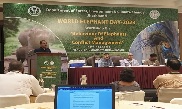 world elephant day 2023