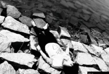 Ranchi के धुर्वा डैम में युवती ने लगाई छलांग, BIT की छात्रा की मौत